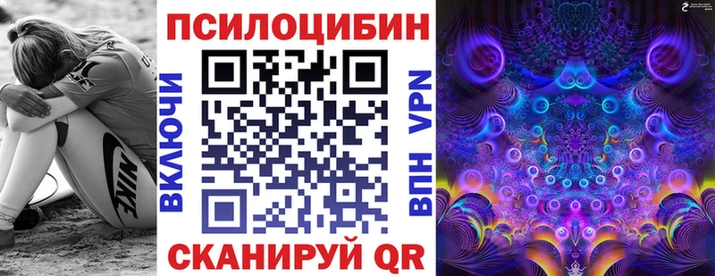 блэк спрут вход  купить   Щёлкино  Галлюциногенные грибы Magic Shrooms 